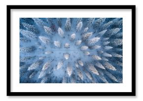 Aerial perspective of a snowy forest, showcasing the larch trees and ski trails, winter exploration opportunity