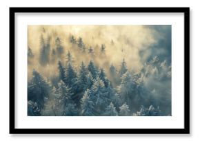 aerial view of serene winter forest with fog and hoarfrost