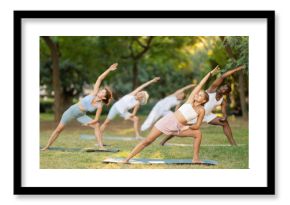 People of different ages and nationalities practice various yoga poses in the summer garden