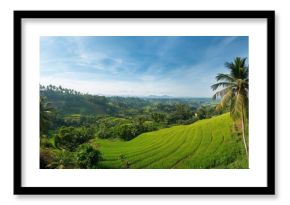 Famous Tegallalang Rice terrace in Bali, Indonesia used as a background for text layout