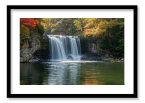 V shape created with miniature rose petals on a white canvas background for romantic design, Valentine's Day