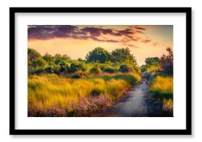 Colorful summer sunrise of Giardino Botanico Litoraneo di Porto Caleri - Botanical garden. Adorable  morning scene of National Park with tourist walkway, Italy. Beauty of nature concept background.