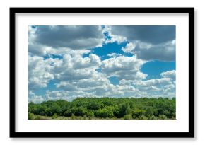 Expansive Summer Sky with Fluffy White Clouds Drifting Above Vibrant Green Forest and Sunny Rural Landscape