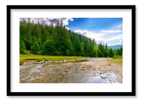 landscape with mountains, forest and a river in front. beautiful scenery in summer on a sunny day. water flowing through synevyr national park. natural background for ecology and sustainability