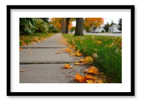 Autumn Sidewalk Scene with Colorful Fallen Leaves and Lush Green Grass in Residential Neighborhood