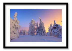 Nature in the north. Snowdrifts with fluffy snow. Winter wonderland. Trees covered with snow. Winter landscape during bright sunrise. Natural landscape. Background, wallpaper, postcards.