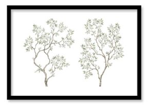 Watercolor tree with green leaves in chinoiserie style. Spring greenery illustration