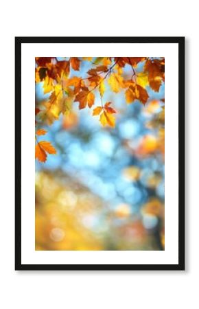 Golden autumn leaves drifting gently in a sunlit park during a tranquil afternoon