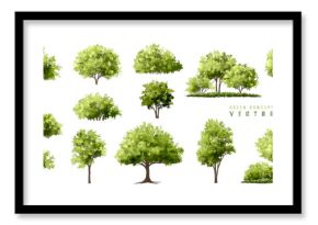  Vector watercolor green  tree or forest side view isolated on white background for landscape and architecture drawing,elements for environment or and garden,Shrub for section