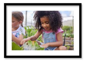 Children, field trip and learning with school girl on farm for agricultural sustainability in countryside. Education, excursion and youth in nature with friends outdoor for development or study