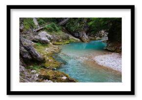 Nature in Tarvisio, Italy