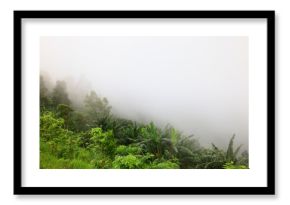 spring green forest, abstract nature background, landscape