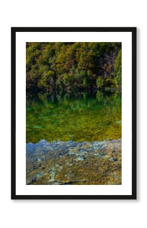 The tranquil transparent waters of lake in the background. Tree into the shallow waters. Beautiful nature lake. Landscape Reflection off of a clear lake water surface on a bright sunny day.