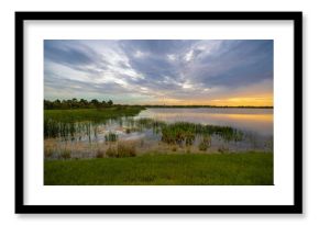 Evening landscape of Florida wetland flora. Lake water in southern tropical swamp at sunset