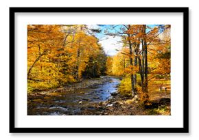 Beautiful autumn colors along a river near Stowe, Vermont, USA