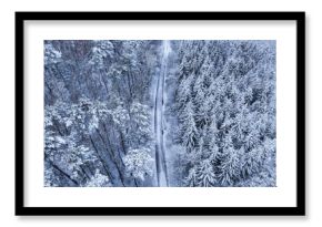 Aerial view of snowy road in white forest in winter.