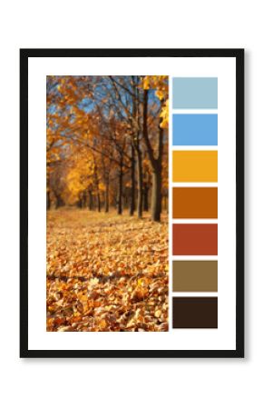 Shades of autumn. Beautiful fall landscape and matching color palette