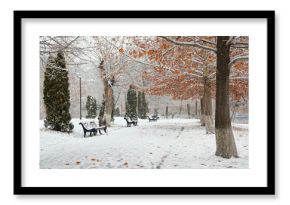 autumn park with first snow and fallen leaves. beautiful landscape of late autumn or early winter season. cold frozen weather