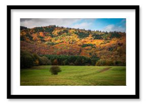 Sunlight Dances Through the Autumn Canopy of the Carpathian Forest under green meadow