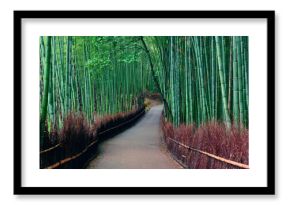 Bamboo Grove