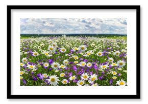 spring landscape panorama with flowering flowers on meadow