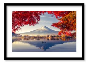 Kolorowy sezon jesienny i górskie Fuji z poranną mgłą i czerwonymi liśćmi nad jeziorem Kawaguchiko to jedno z najlepszych miejsc w Japonii