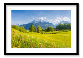 Idyllic mountain scenery in the Alps with blooming meadows in springtime