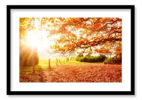 Landschaft im Herbst mit Wald und Wiese bei strahlendem Sonnenschein
