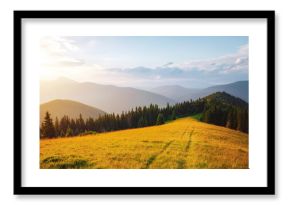 A gorgeous view of forested slopes and distant mountain ranges. Carpathian mountains, Ukraine.
