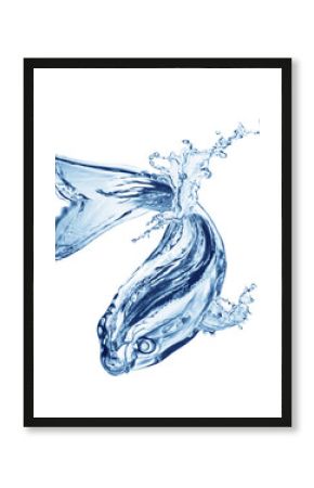 Water splash forming the shape of a dynamic fish on a transparent background