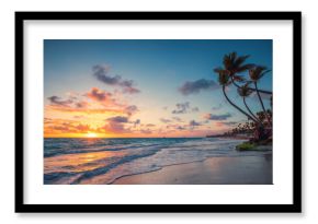 Palm and tropical beach in Punta Cana, Dominican Republic