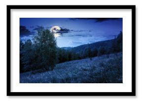 landscape with forest on the hill in summer at night. beautiful scenery with trees under blue sky with fluffy clouds in full moon light. peaceful weather wallpaper