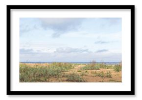 Gulf of Finland, coastal view. Beach landscape photo featuring green sedge