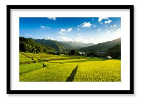 水田　田舎　生成AI　背景　