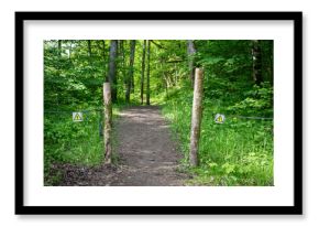 Forest Trail Entrance with Electric Warning Signs and Rope Barrier for Restricted Access