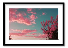 Pink sky with evening sunlight and empty copy space for text