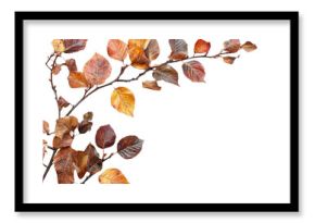 PNG Autumn leaves leaf background white.