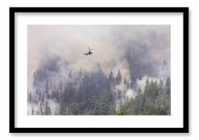 Helicopter Extinguishing Forest Fire in Smoky Woodland of Squamish, BC, Canada