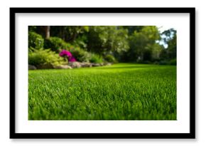 Close-up View of a Perfectly Manicured Lawn with Lush Green Grass and Smooth Texture.