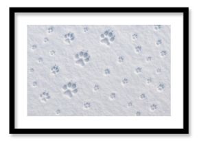 Animal tracks visible on a snowy landscape from above