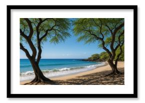 Stunning kiawe trees border the peaceful Waialea beach at Puako Bay, Waimea