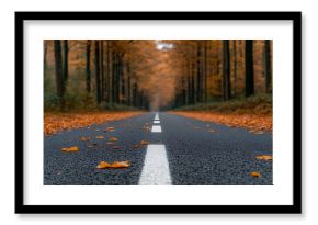 Autumn road view: A straight road cuts through a forest with autumn foliage, creating a seasonal, scenic view. Orange leaves line and dot the path.