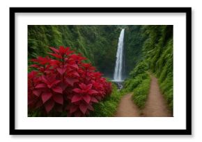 Vivid red Amaranthus and spinach thriving near a waterfall trail in Coban Pelangi