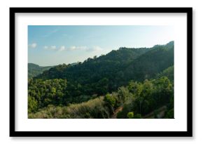 High angle view mountains rainforest green background