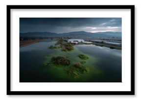 Industrial agriculture runoff causing algal bloom in lake under moody sky