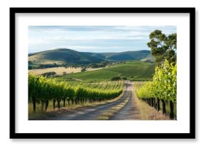 Scenic vineyard landscape in South Australian countryside showcasing lush grape rows and rolling hills, Winery valley in South Australia Countryside landscape