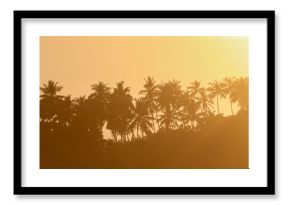 A beautiful sunset over a palm tree forest