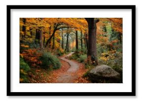 Winding forest path covered in fallen autumn leaves