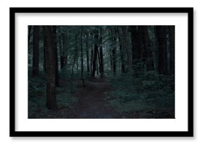 Dark road through fantasy forest at night, scary halloween landscape.