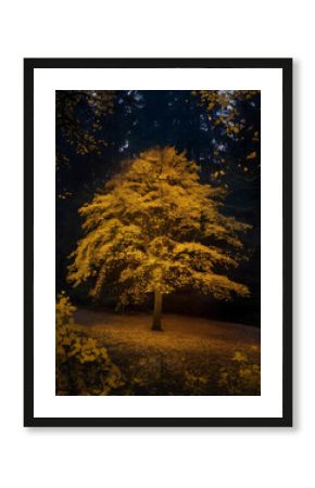 The text describes a dark forest panorama with a glowing autumn tree.